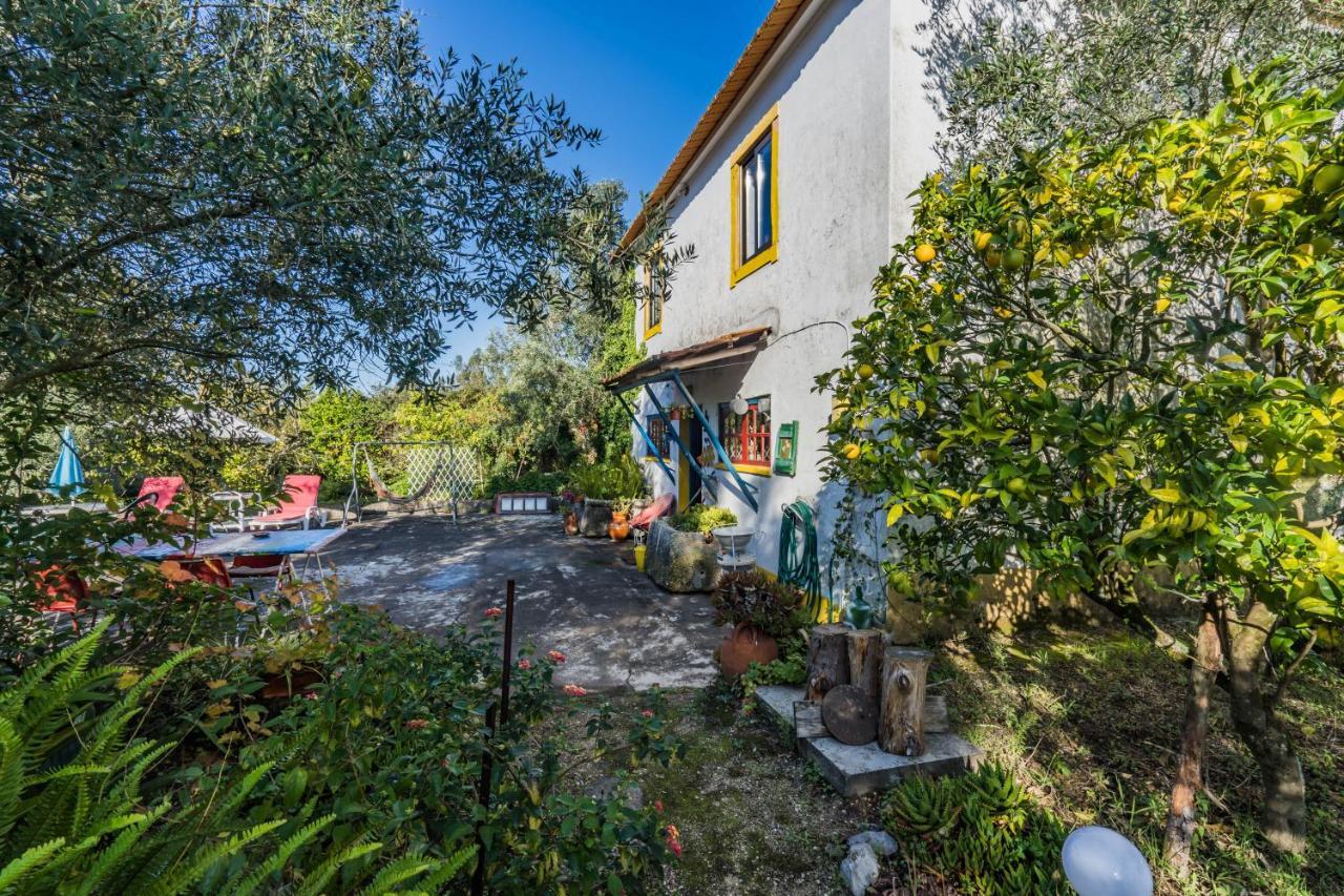 Holiday home A Casinha Vila Nova de Ancos